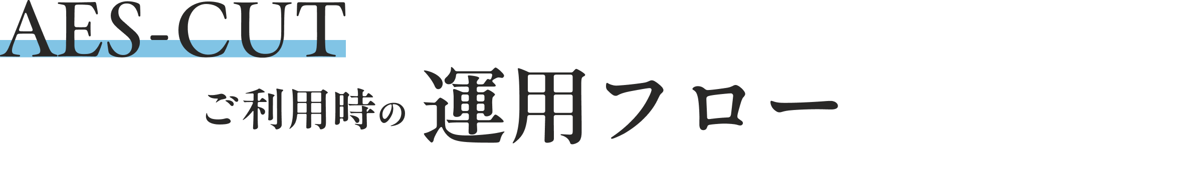 AES-CUT ご利用時の運用フロー